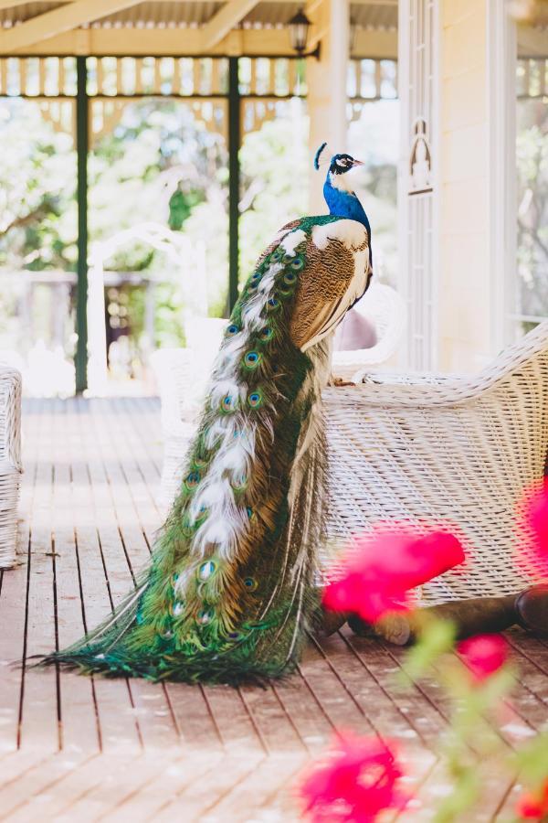 Seville Dalblair Bed & Breakfast المظهر الخارجي الصورة