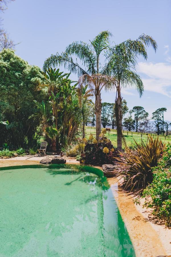 Seville Dalblair Bed & Breakfast المظهر الخارجي الصورة