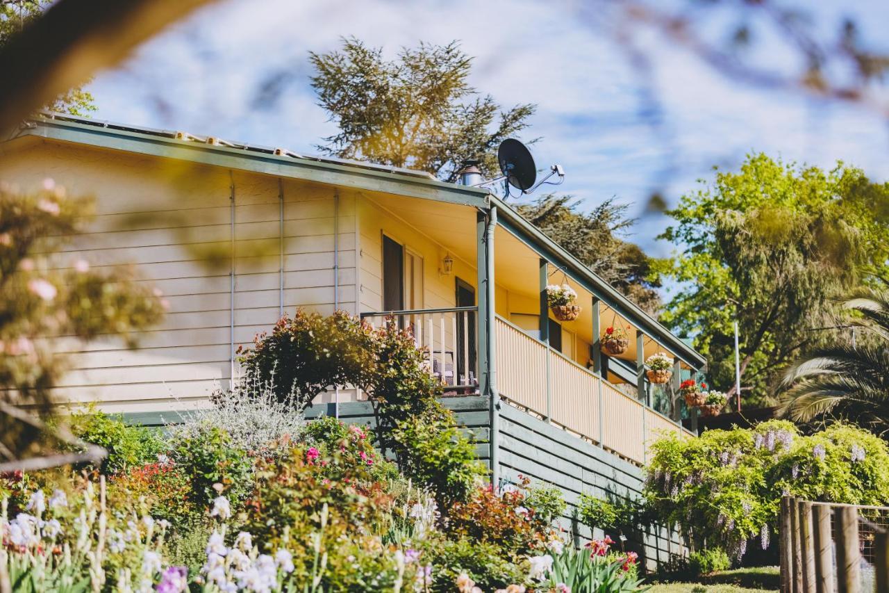 Seville Dalblair Bed & Breakfast المظهر الخارجي الصورة